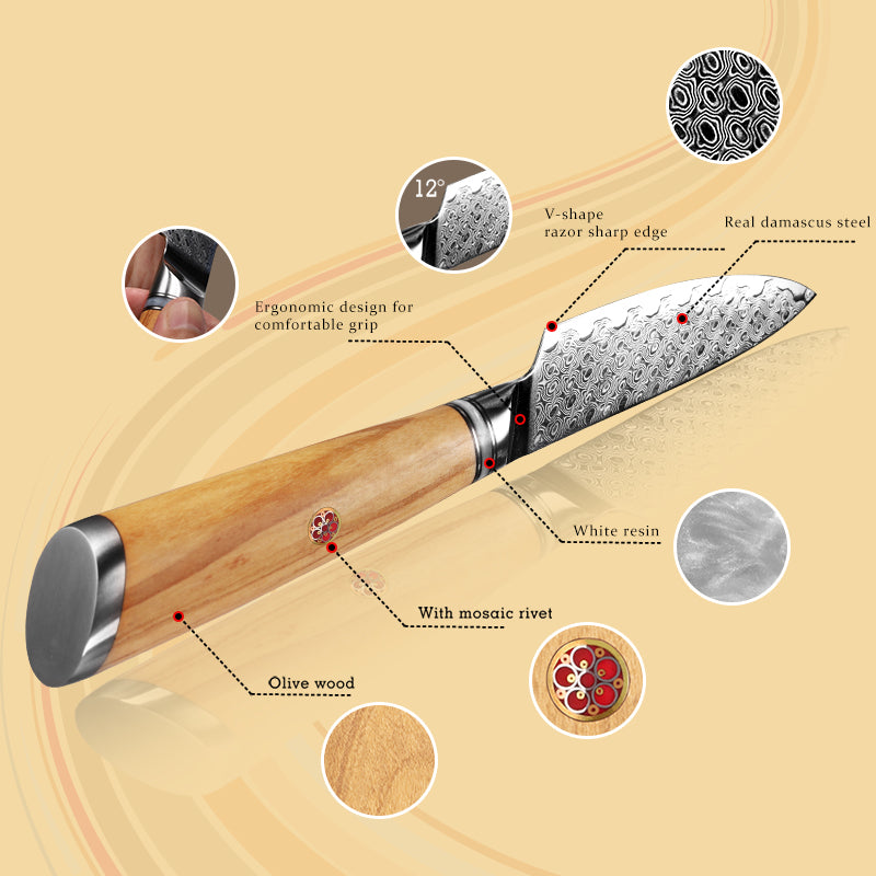 Legacy Forge 4-inch Paring Knife – 67-Layer Damascus Blade with Resin+Olive wood Handles - CHOPLIX