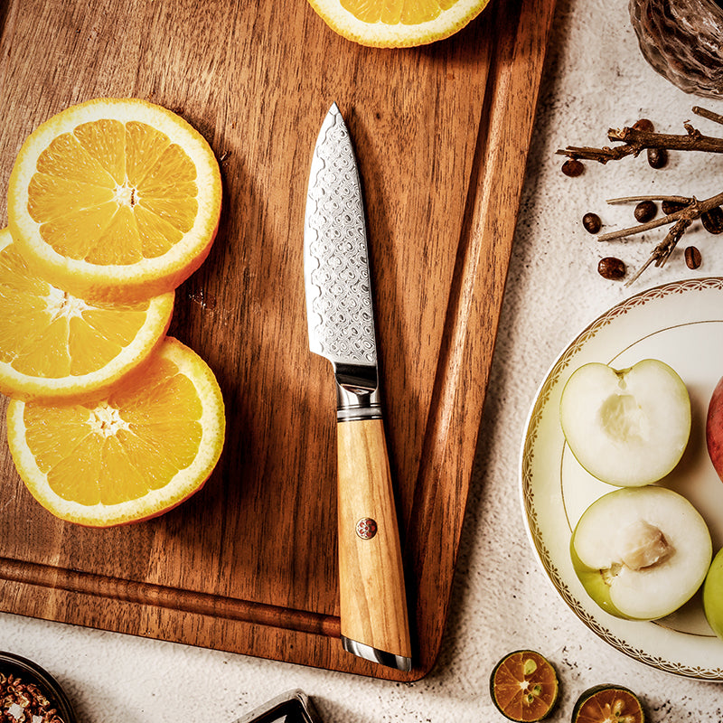 Legacy Forge 4-inch Paring Knife – 67-Layer Damascus Blade with Resin+Olive wood Handles - CHOPLIX