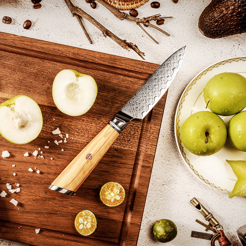 Legacy Forge 4-inch Paring Knife – 67-Layer Damascus Blade with Resin+Olive wood Handles - CHOPLIX