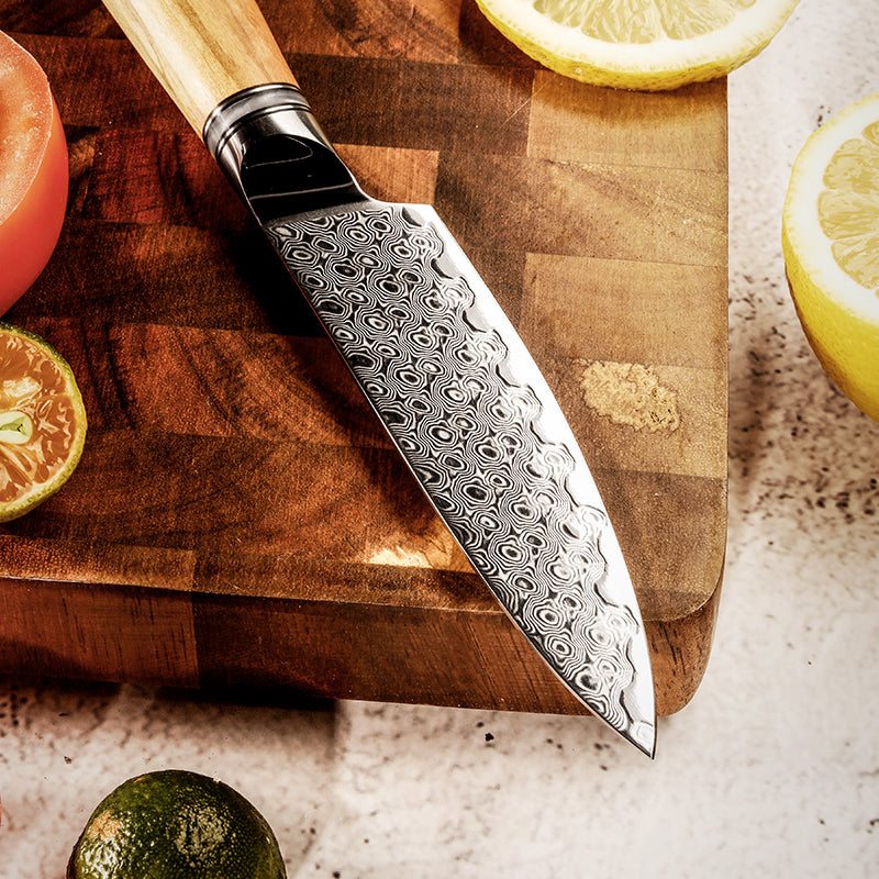 Legacy Forge 4-inch Paring Knife – 67-Layer Damascus Blade with Resin+Olive wood Handles - CHOPLIX