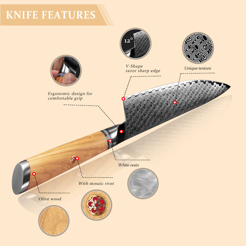 Legacy Forge Series 5-Piece Knife Set - Damascus Steel Blades with Resin and Olive Wood Handles - CHOPLIX