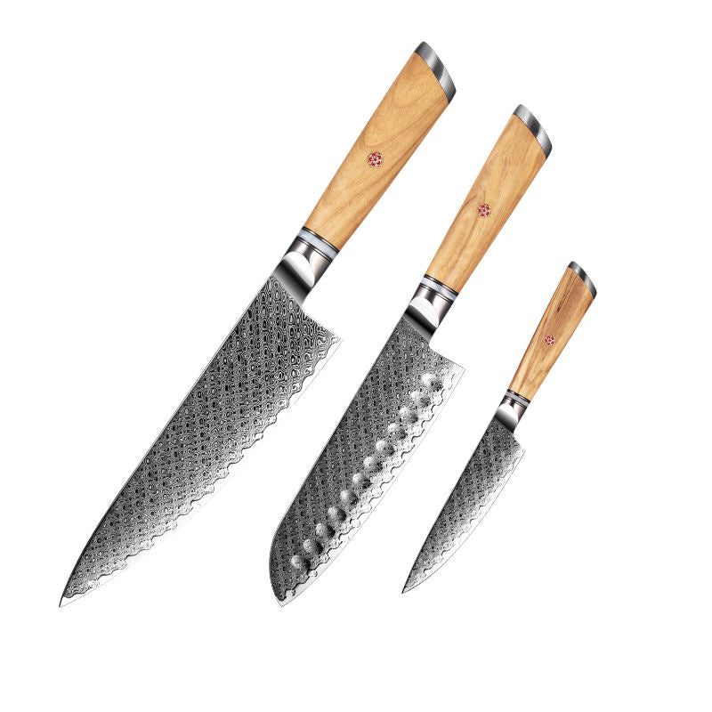 Legacy Forge Series 3-Piece Knife Set - Damascus Steel Blades with Resin and Olive Wood Handles - CHOPLIX